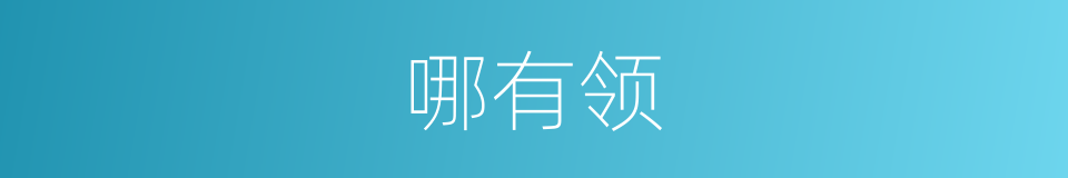 哪有领的同义词