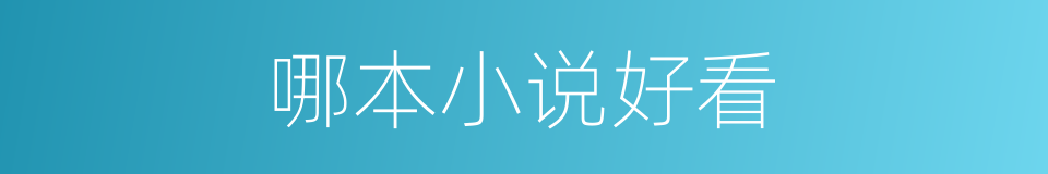 哪本小说好看的同义词