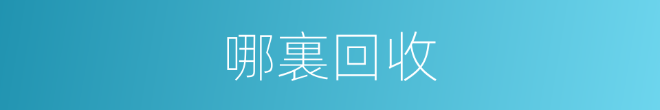 哪裏回收的同義詞