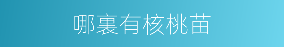哪裏有核桃苗的同義詞