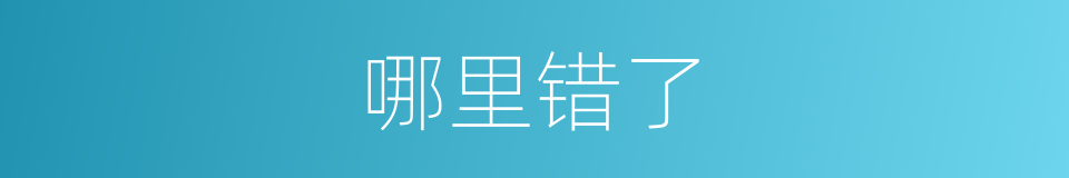 哪里错了的同义词