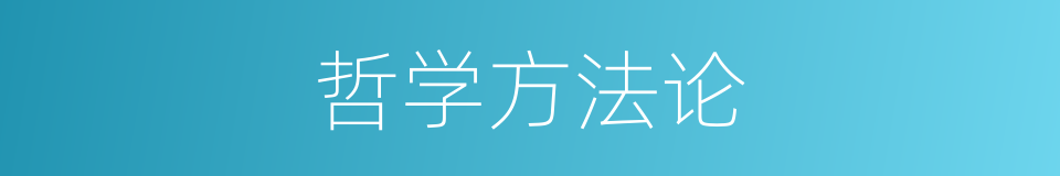 哲学方法论的同义词