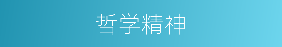 哲学精神的同义词