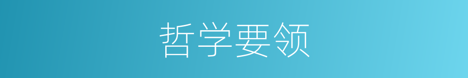 哲学要领的同义词