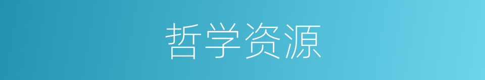 哲学资源的同义词
