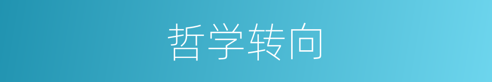 哲学转向的同义词