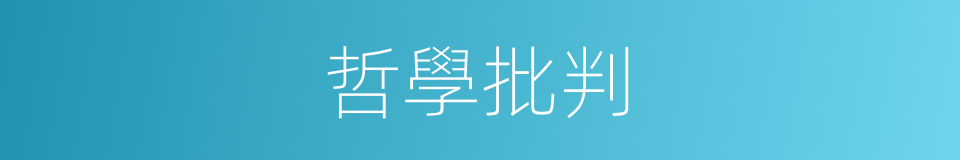 哲學批判的同義詞