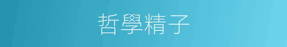 哲學精子的同義詞