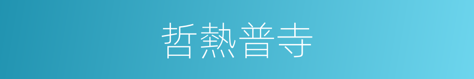 哲熱普寺的同義詞