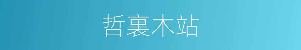 哲裏木站的同義詞