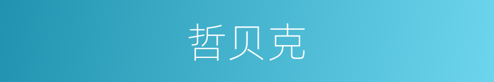 哲贝克的同义词