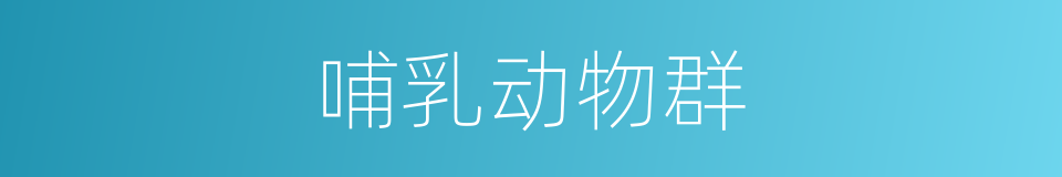 哺乳动物群的同义词