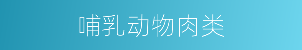 哺乳动物肉类的同义词