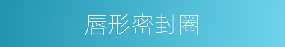 唇形密封圈的同义词