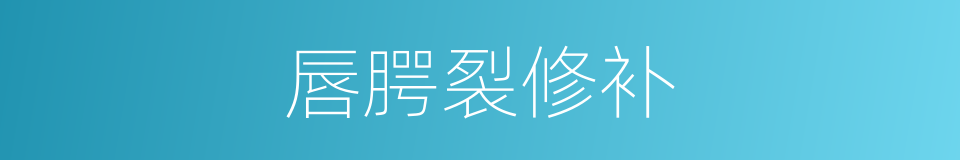 唇腭裂修补的同义词