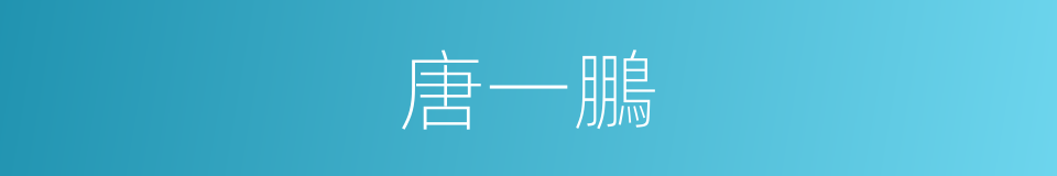 唐一鵬的同義詞