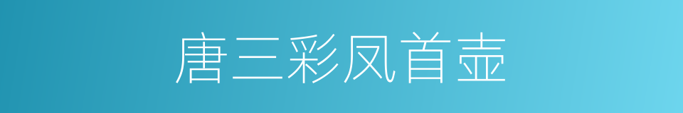 唐三彩凤首壶的同义词