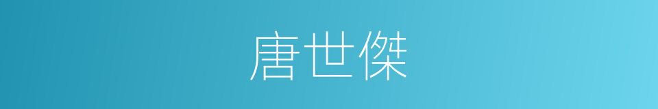 唐世傑的同義詞