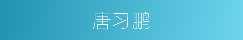 唐习鹏的同义词