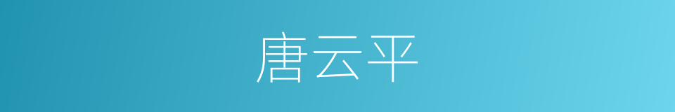 唐云平的同义词