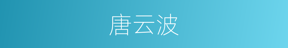 唐云波的同义词
