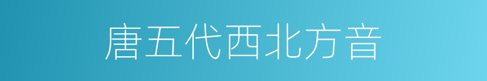 唐五代西北方音的同义词