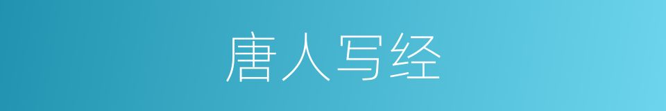 唐人写经的同义词