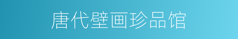 唐代壁画珍品馆的同义词