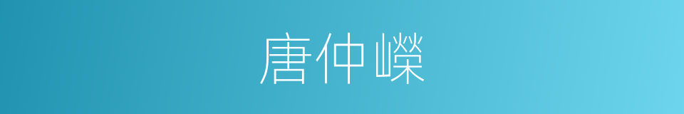 唐仲嶸的同義詞