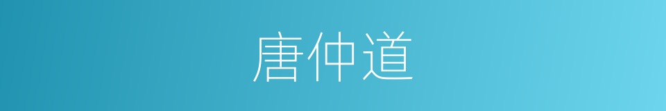 唐仲道的同义词