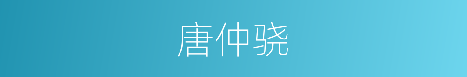 唐仲骁的同义词