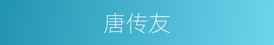唐传友的意思