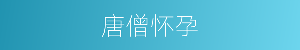 唐僧怀孕的同义词