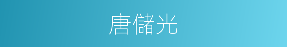 唐儲光的同義詞