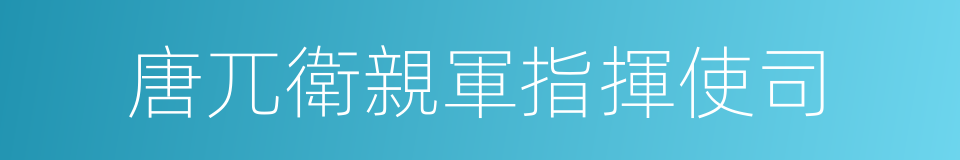 唐兀衛親軍指揮使司的同義詞