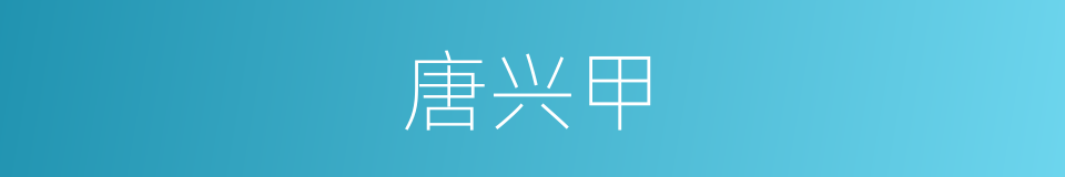 唐兴甲的同义词