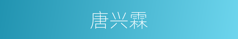唐兴霖的同义词