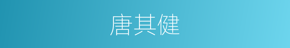 唐其健的同义词