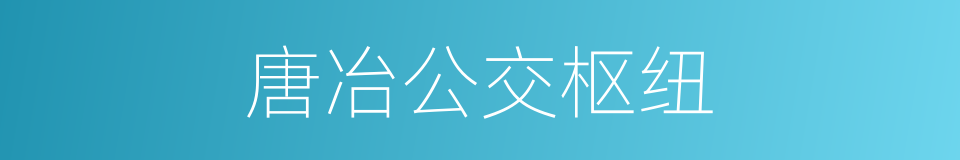 唐冶公交枢纽的同义词