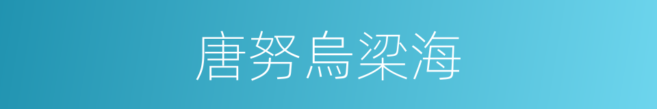 唐努烏梁海的同義詞