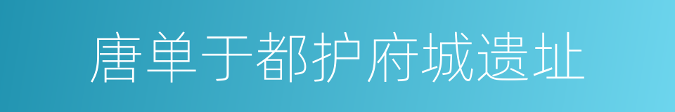 唐单于都护府城遗址的同义词