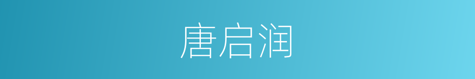 唐启润的同义词