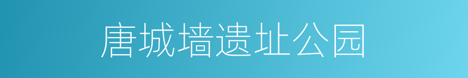 唐城墙遗址公园的同义词