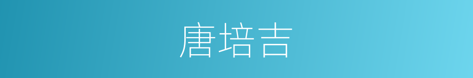 唐培吉的同义词