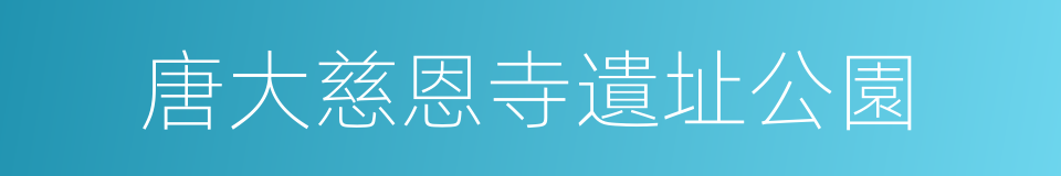 唐大慈恩寺遺址公園的同義詞