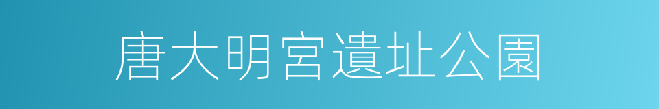 唐大明宮遺址公園的同義詞
