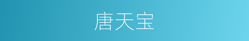 唐天宝的同义词