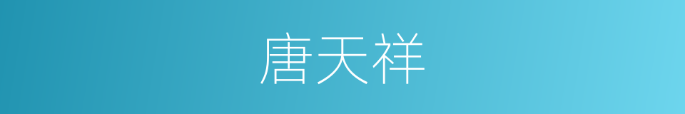 唐天祥的同义词