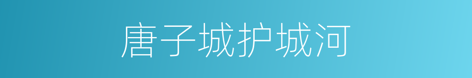唐子城护城河的同义词