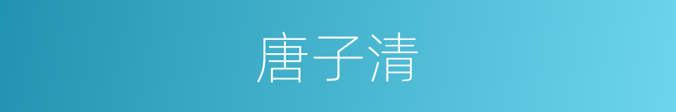 唐子清的同义词